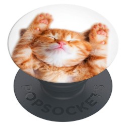 Оригинален попсокет PopSockets® PopGrip Basic Snoozy Cat, Многоцветен