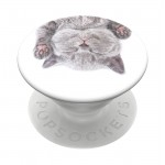 Оригинален попсокет PopSockets® PopGrip Standard Cat Nap, Многоцветен